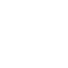荣誉证书(项)